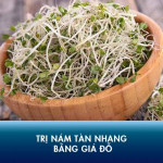 Thổi bay sắc tố da với mặt nạ giá đỗ trị nám tàn nhang