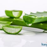 Hướng dẫn cách trị tàn nhang bằng nha đam cho từng loại da hiệu quả