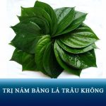 Trị nám bằng lá trầu không có tốt không? Review đánh giá từ webtretho