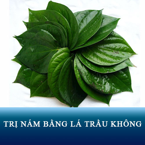 Trị nám bằng lá trầu không có tốt không? Review đánh giá từ webtretho