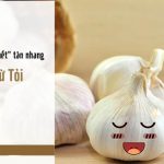 Cách trị tàn nhang bằng tỏi nhanh chóng chỉ trong 7 ngày